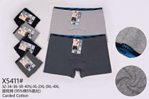 Боксерки мужские модель X5411 L-4XL  торговой марки Kokowei