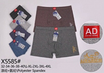 Боксерки мужские модель X5585 L-4XL торговой марки Kokowei