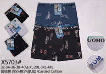 Боксерки мужские модель X5703 L-4XL  торговой марки Kokowei